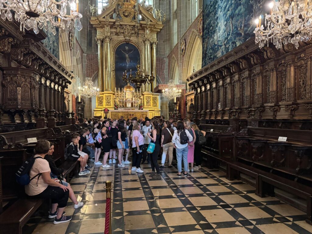 Catedrala Wawel Cracovia
